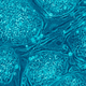 Illustration for article titled A Human Stem Cell Has Been Cloned For the First Time